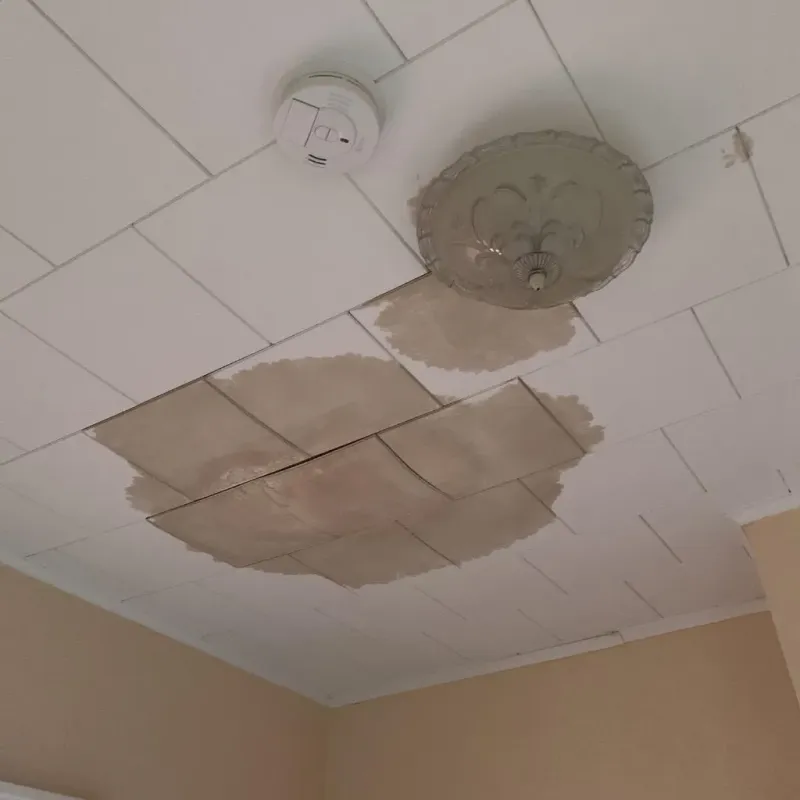 Ceiling Water Damage Repair in Glasgow, DE